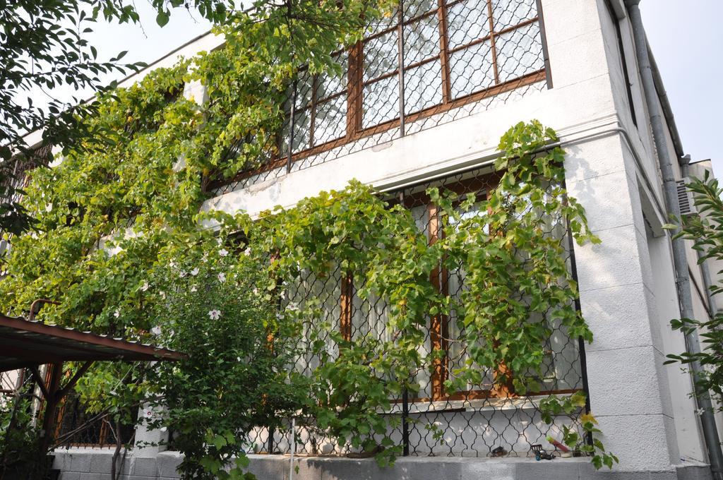 Villa Ivana Odessa Esterno foto